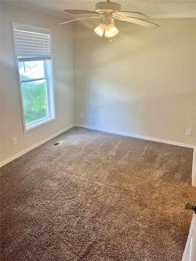 spare room featuring ceiling fan, carpet, and a textured ceiling