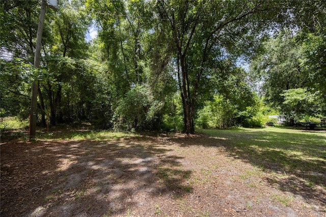 Listing photo 2 for 0 SW 1st St, Micanopy FL 32667