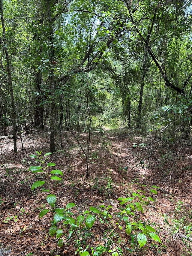 00 NE 211th Dr, Earleton FL, 32631 land for sale