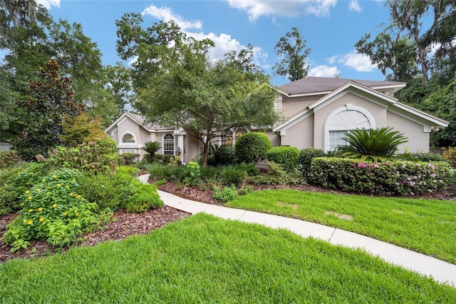 view of front of property featuring a front yard and stucco siding