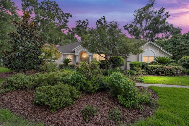 view of property hidden behind natural elements with a front lawn and stucco siding