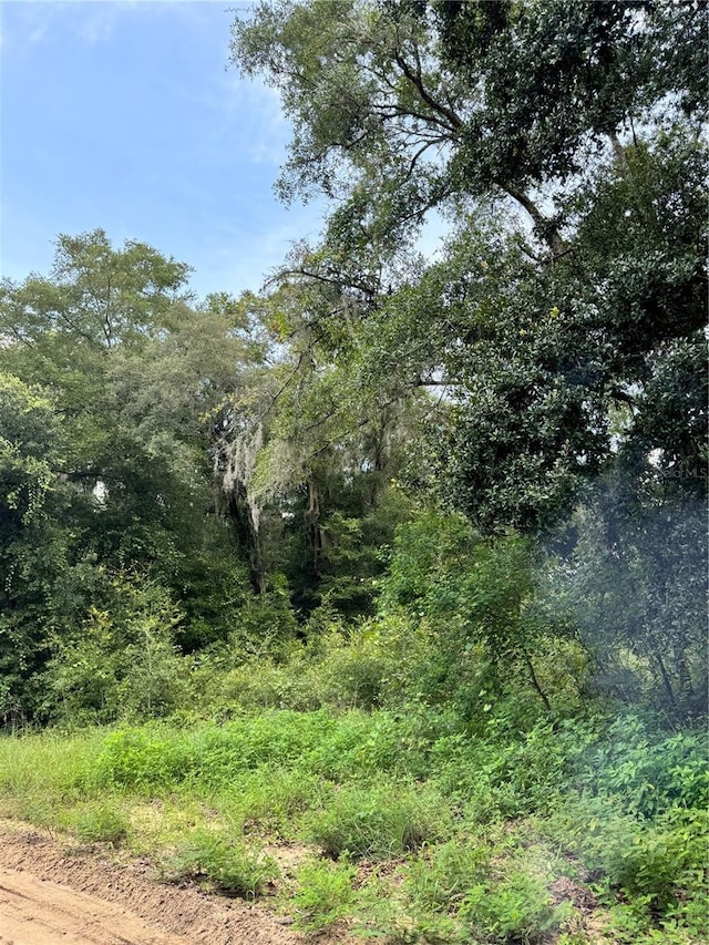 SE Childs Rd, Interlachen, FL 32148