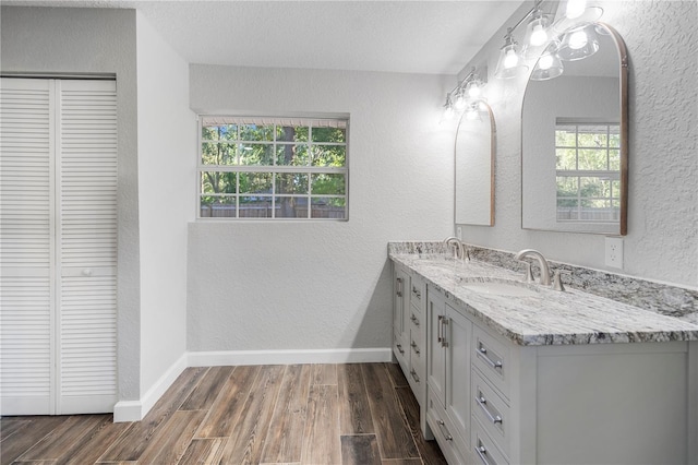 bathroom with double vanity and wood-type flooring