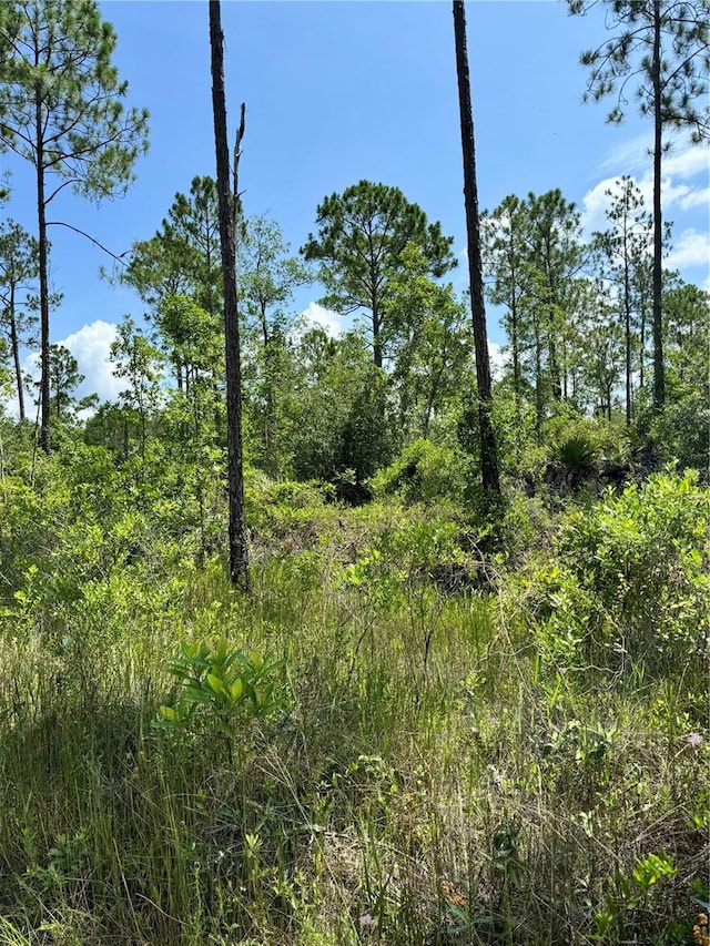 223 Incline Rd, Satsuma FL, 32189 land for sale