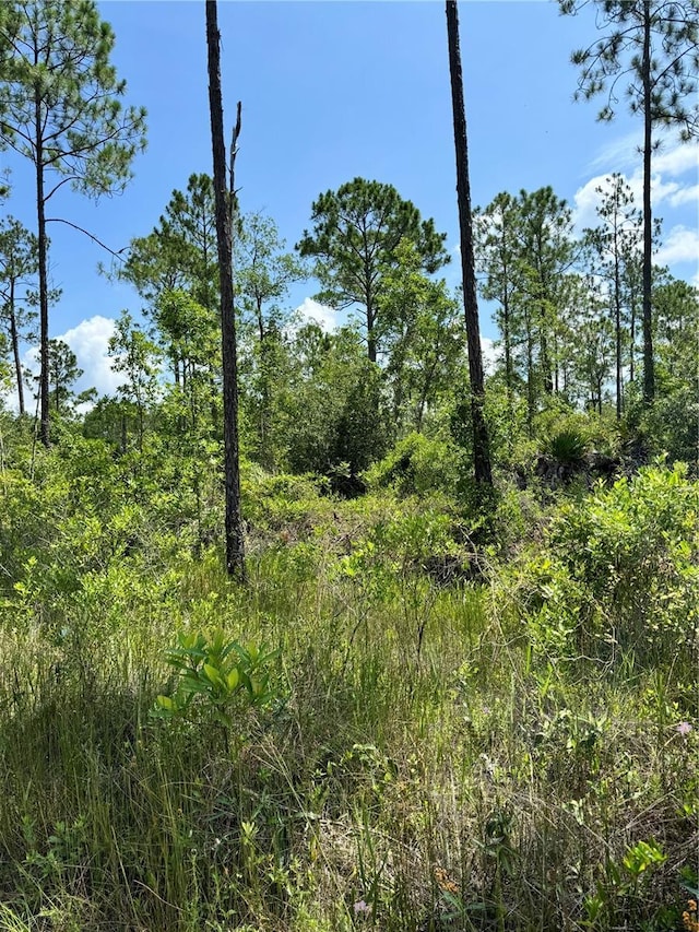 223 Incline Rd, Satsuma FL, 32189 land for sale