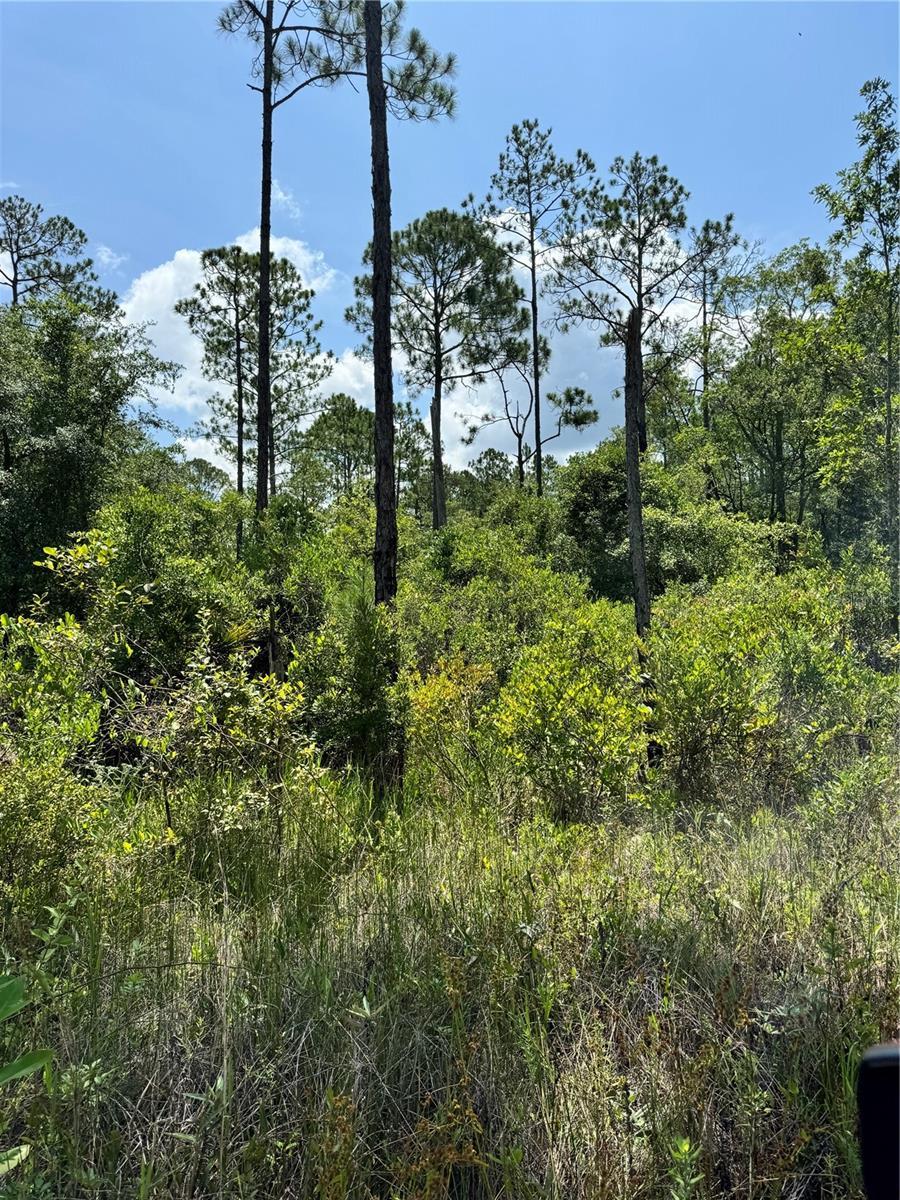 706 S Main St, Palatka, FL 32177