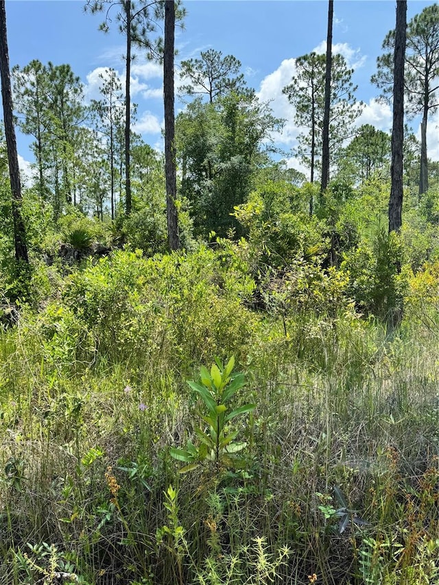 205 Deer Run Rd, Satsuma FL, 32189 land for sale