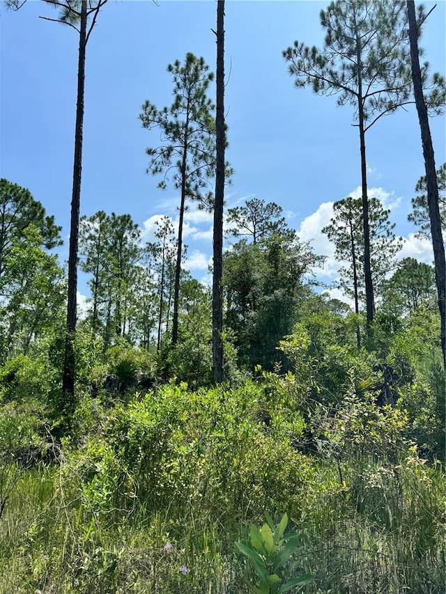 101 Possum Walk Rd, Satsuma, FL 32189