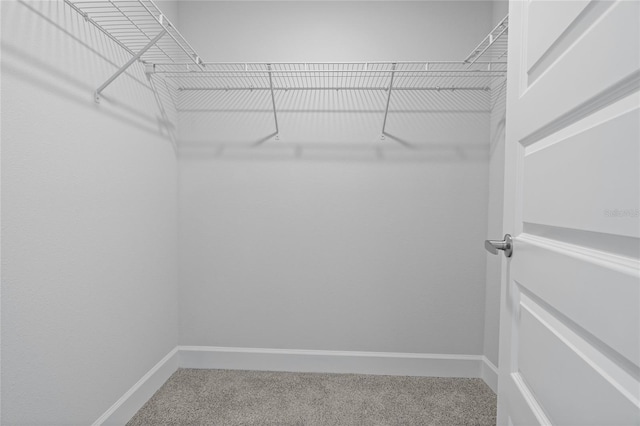 walk in closet with carpet