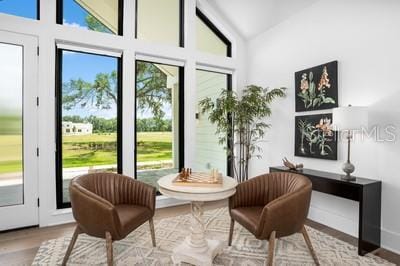 19010 SW 21st Pl, Newberry, FL 32669 - interior space featuring high vaulted ceiling and light hardwood / wood-style floors