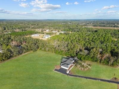 19010 SW 21st Pl, Newberry, FL 32669 - bird's eye view