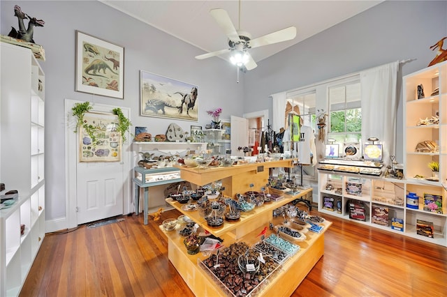 office area featuring hardwood / wood-style floors and ceiling fan