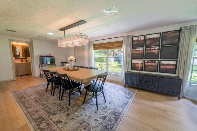 dining space with radiator, a notable chandelier, light hardwood / wood-style flooring, and a textured ceiling