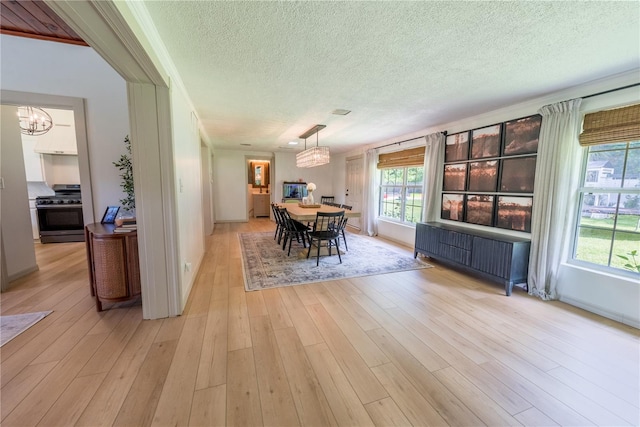 dining space featuring light hardwood / wood-style floors, radiator, a textured ceiling, and a chandelier