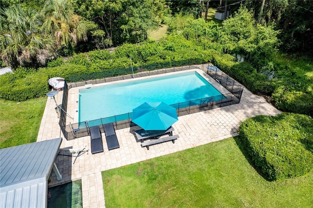 view of pool featuring a patio and a lawn