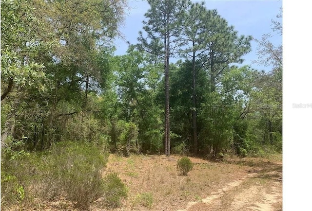 LOT70 Ariane Ln, Interlachen FL, 32148 land for sale