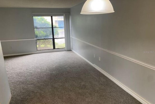 spare room with carpet floors