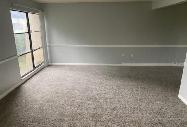 spare room featuring carpet