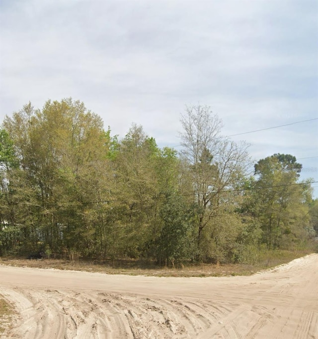 LOTS12 Levine St, Interlachen FL, 32148 land for sale