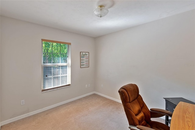 view of carpeted office space