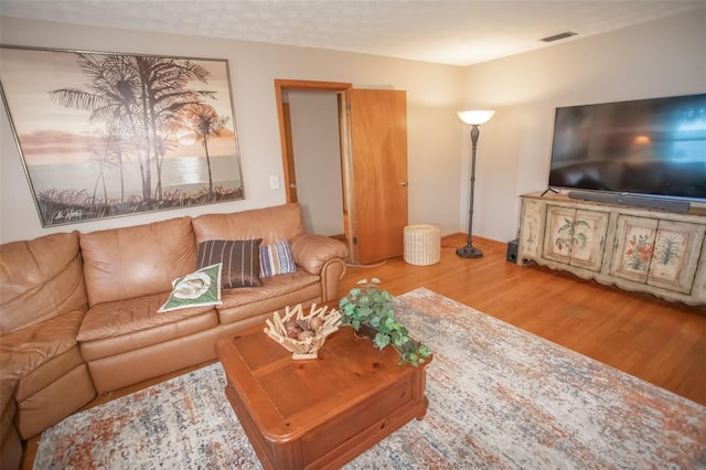 living room with hardwood / wood-style flooring