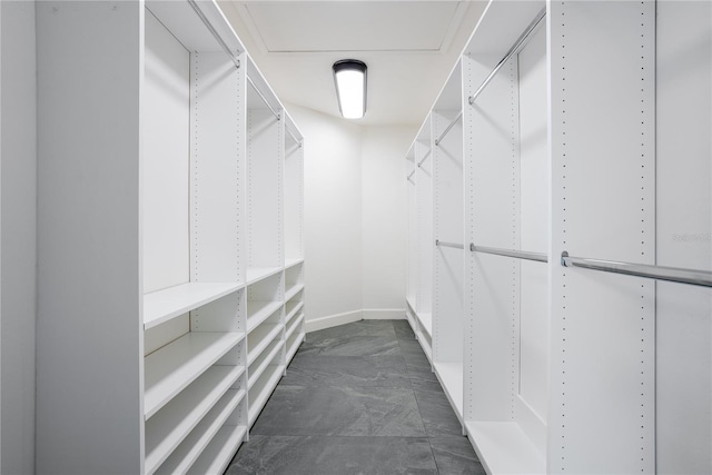 view of walk in closet