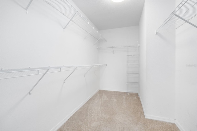 walk in closet with light carpet