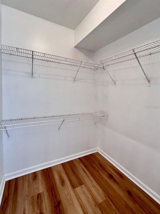 walk in closet featuring wood finished floors