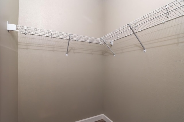 view of walk in closet