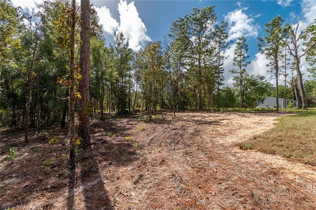 177 Whirlwind Loop, Hawthorne, FL 32640 - photo 35