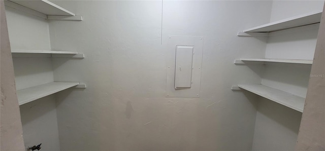 walk in closet with electric panel