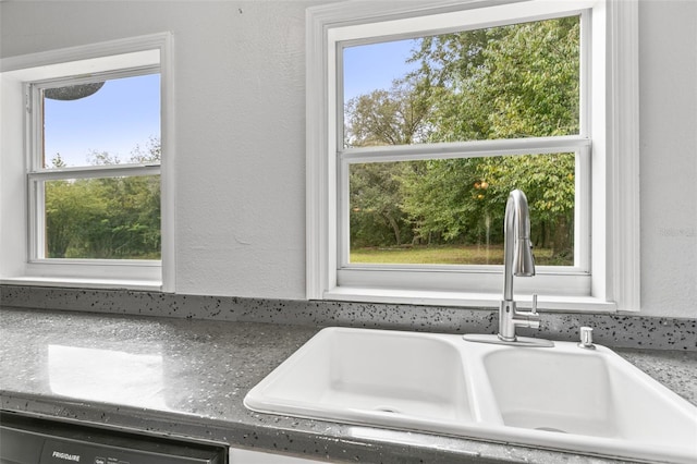 kitchen with dishwasher and sink