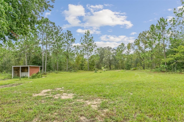 view of yard featuring an outdoor structure