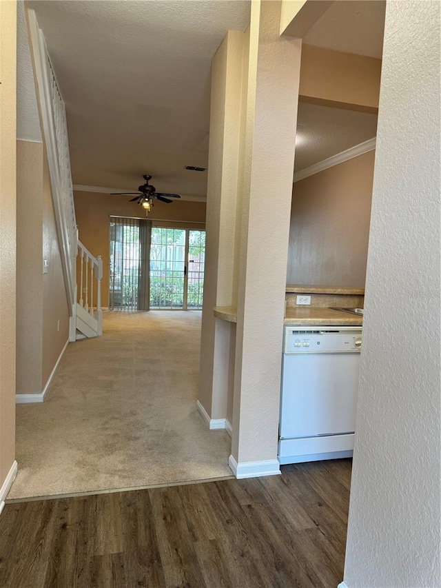 corridor featuring carpet flooring and ornamental molding