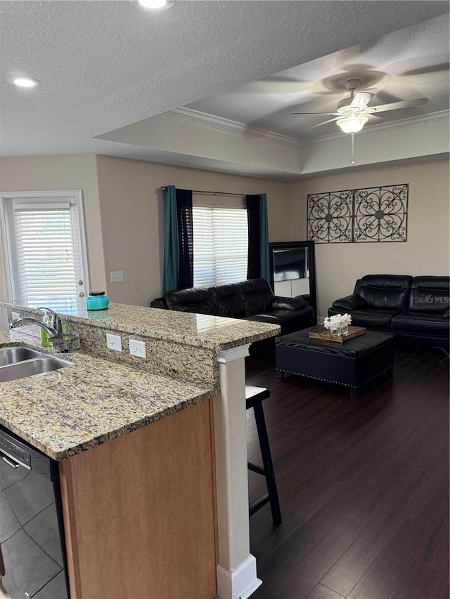 kitchen featuring a tray ceiling, dark wood-style flooring, open floor plan, a sink, and dishwasher