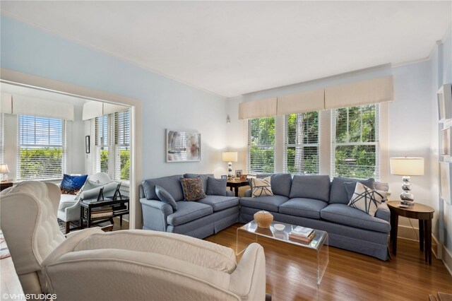 living room featuring wood-type flooring, plenty of natural light, and ornamental molding