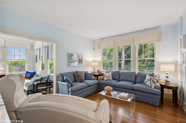 living room with wood-type flooring