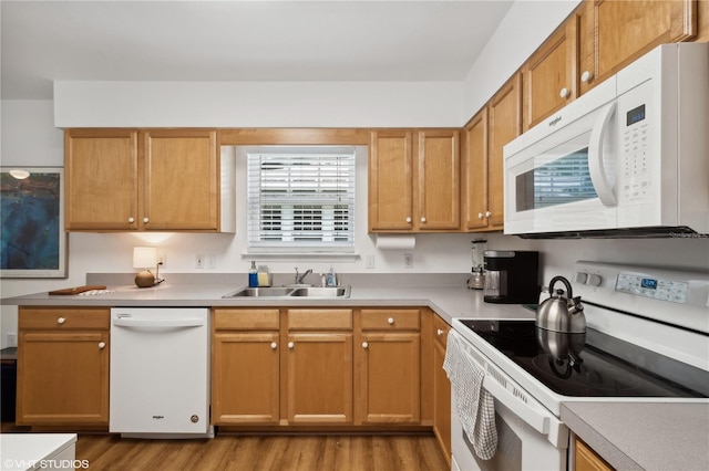 kitchen featuring sink, white appliances, and light wood-type flooring