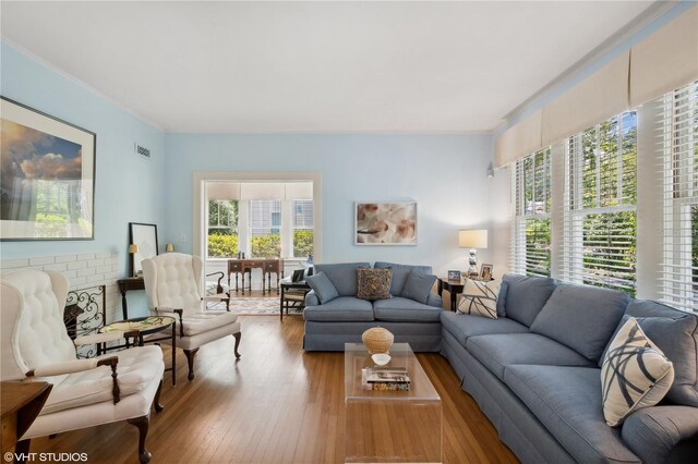 living room with wood-type flooring