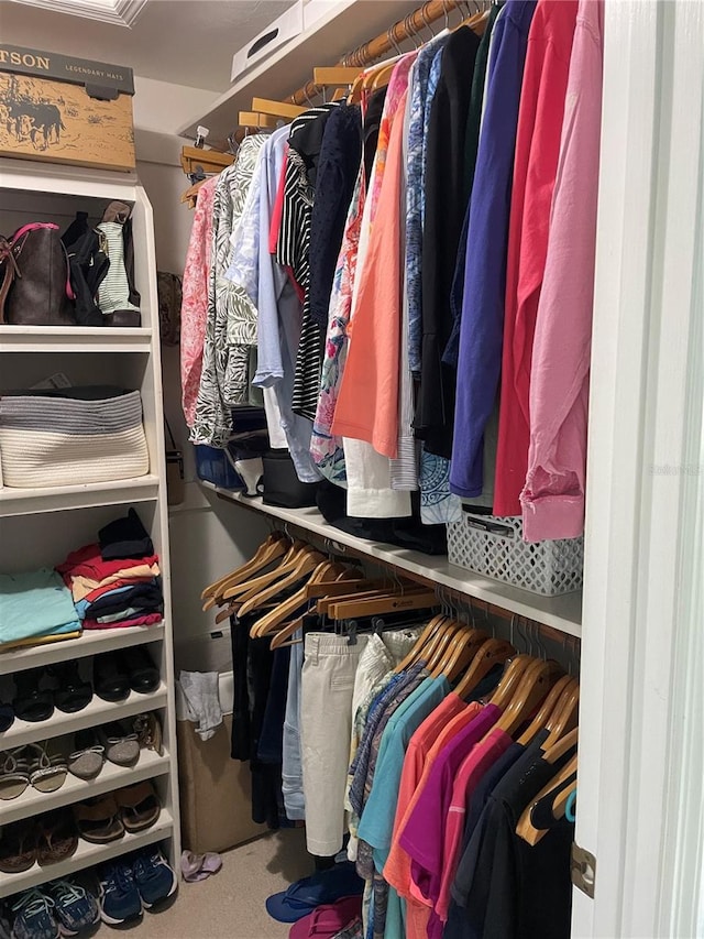 view of walk in closet