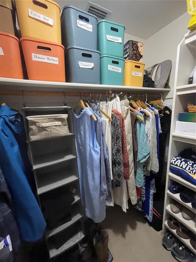 view of spacious closet