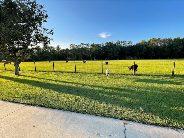 view of property's community featuring a rural view, fence, and a yard