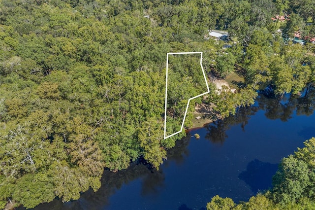 aerial view featuring a view of trees and a water view
