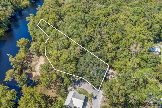 aerial view featuring a forest view and a water view