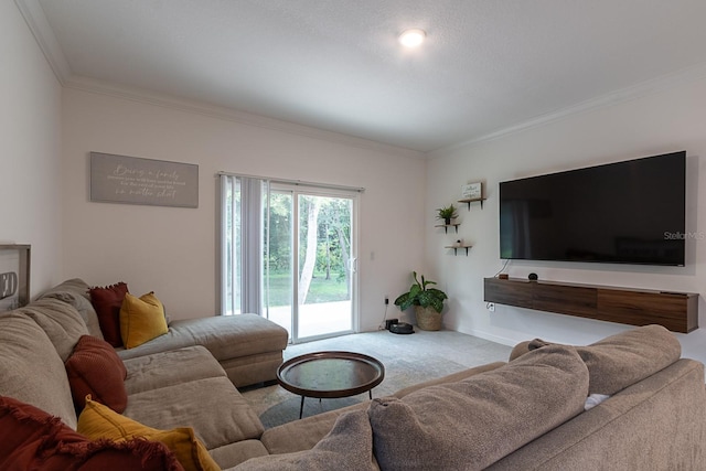 carpeted living room featuring ornamental molding