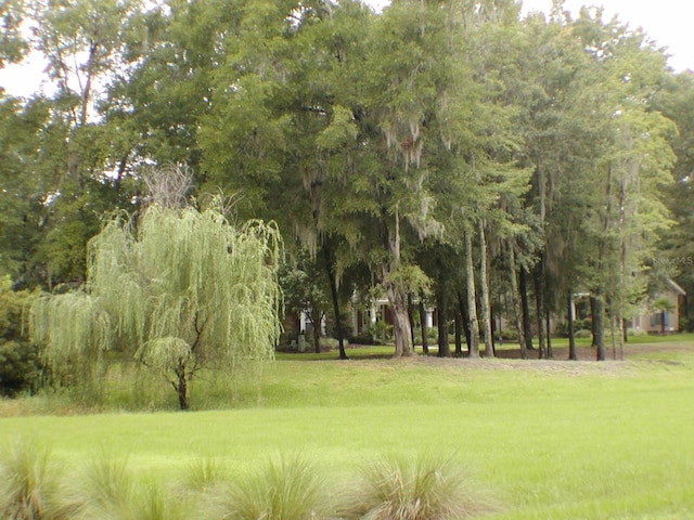 view of community featuring a lawn