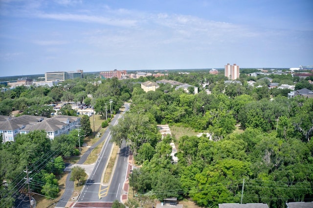 bird's eye view