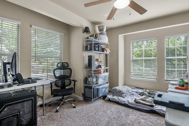 home office with a ceiling fan and carpet floors