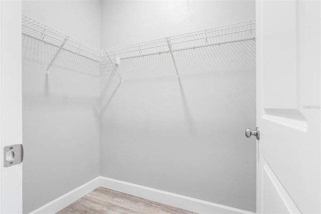 spacious closet featuring wood-type flooring