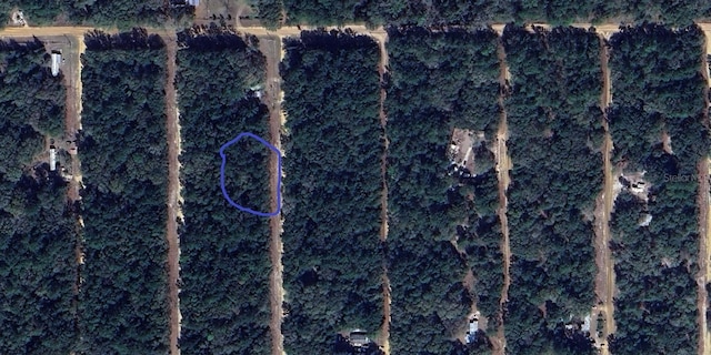 Listing photo 3 for 00 Ellsworth Ave, Interlachen FL 32148